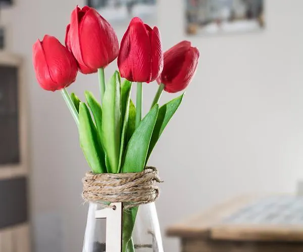 Alojamento de Acomodação e Pequeno-almoço Geolja Gioia Tauro