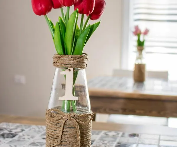 Alojamento de Acomodação e Pequeno-almoço Geolja 3*